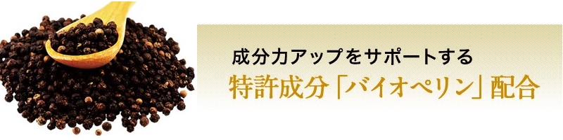 ���{�f�B25000���T�C�g